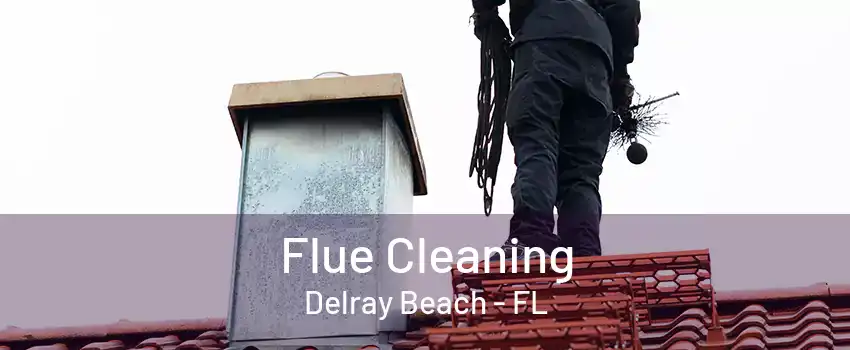 Flue Cleaning Delray Beach - FL