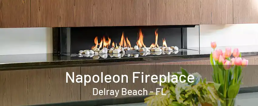 Napoleon Fireplace Delray Beach - FL